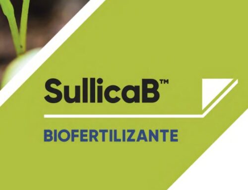 Corteva Agriscience presenta el seu primer biofertilitzant SullicaB™ , un estimulant biològic a base de microorganismes promotors del creixement vegetal