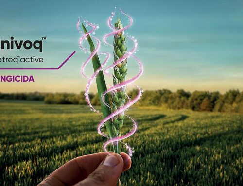 Corteva Agriscience presenta Univoq®, su primera solución fungicida para cereal con una composición y formulación únicas